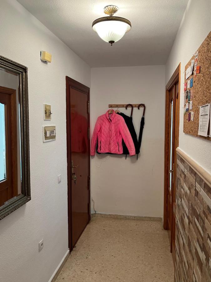 Apartamento La Biznaga مالقة المظهر الخارجي الصورة